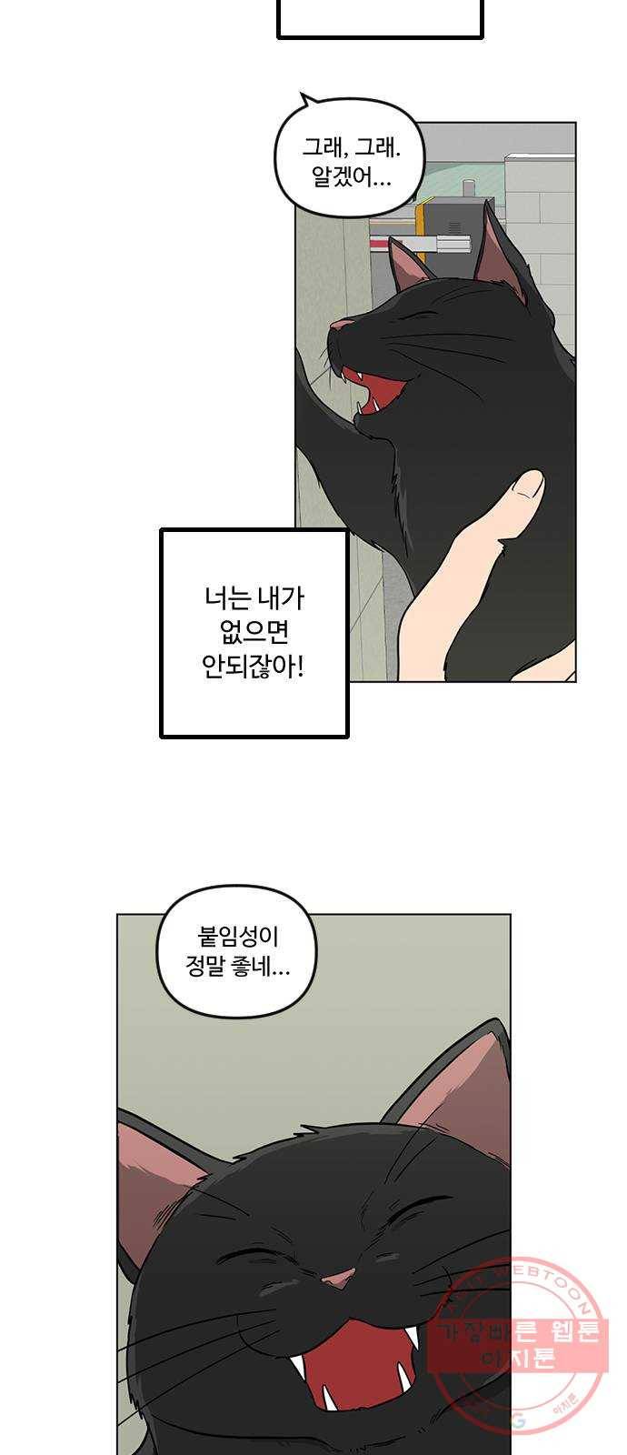 단편.zip 48화 고양이는 다시 돌아온다 - 김호랑 작가 33
