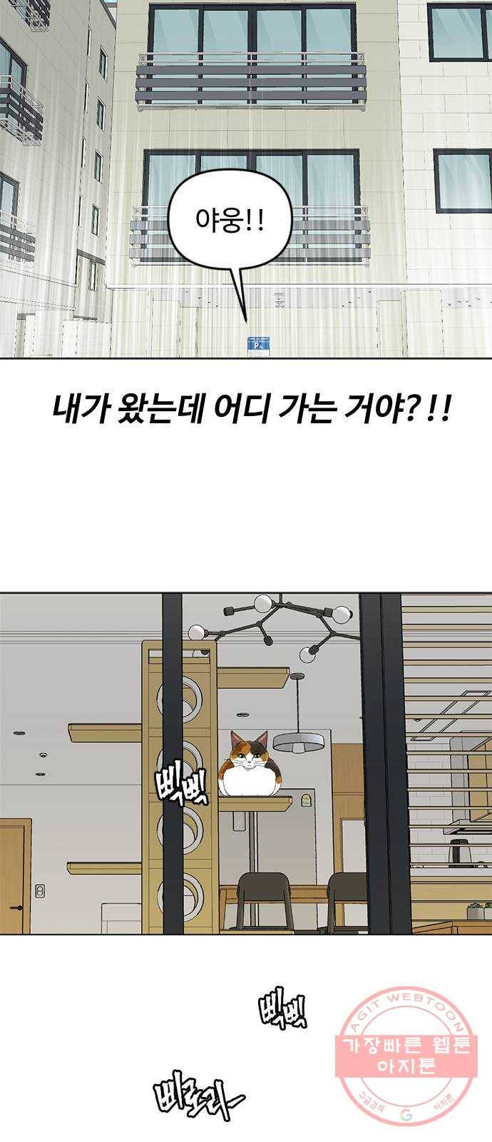 단편.zip 48화 고양이는 다시 돌아온다 - 김호랑 작가 38