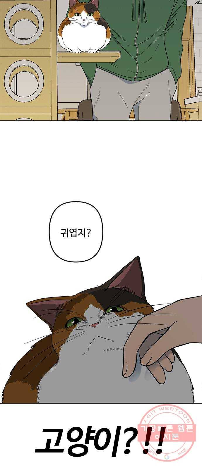 단편.zip 48화 고양이는 다시 돌아온다 - 김호랑 작가 40