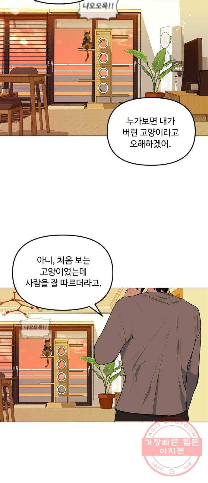 단편.zip 48화 고양이는 다시 돌아온다 - 김호랑 작가 44