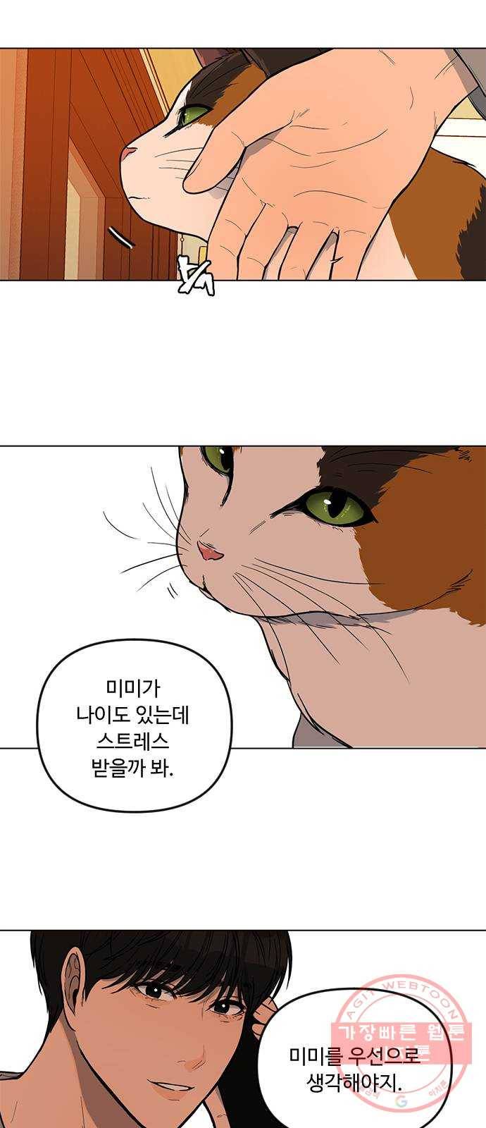 단편.zip 48화 고양이는 다시 돌아온다 - 김호랑 작가 46