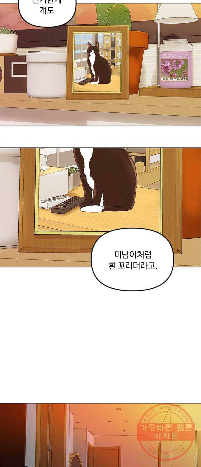 단편.zip 48화 고양이는 다시 돌아온다 - 김호랑 작가 48