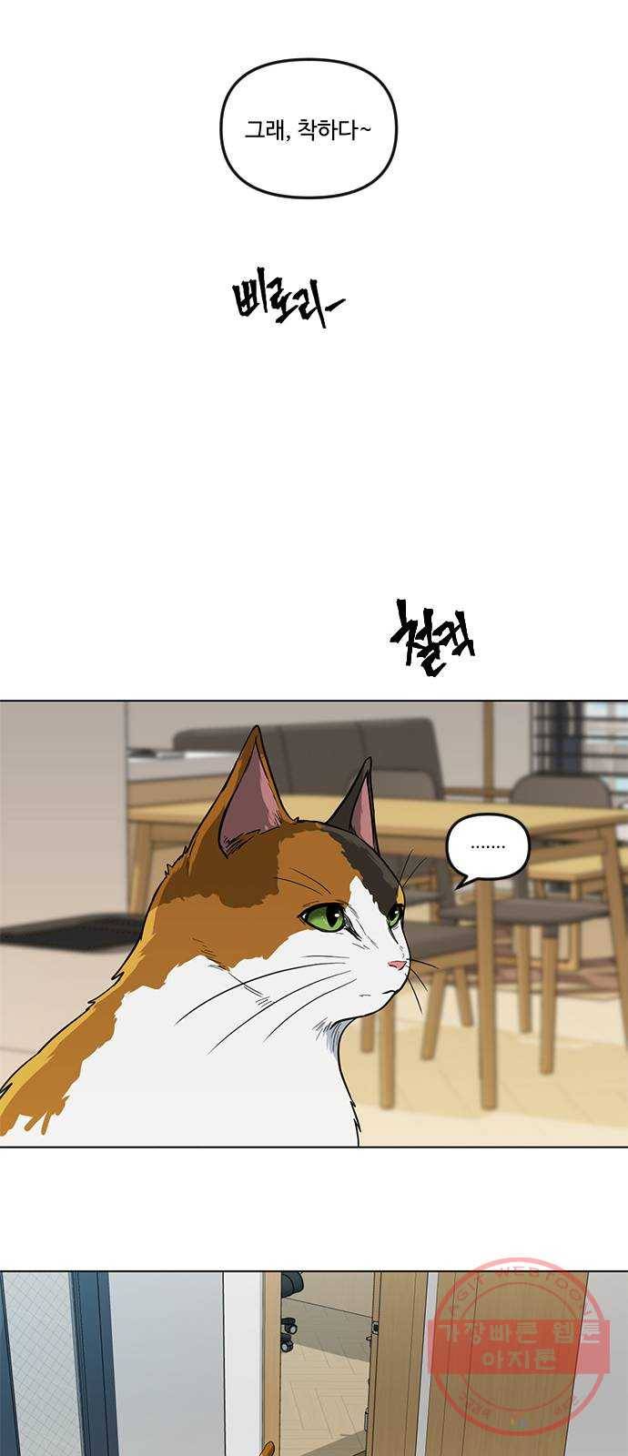 단편.zip 48화 고양이는 다시 돌아온다 - 김호랑 작가 62