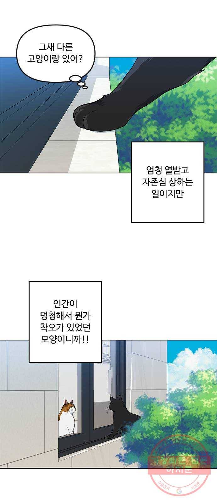단편.zip 48화 고양이는 다시 돌아온다 - 김호랑 작가 64