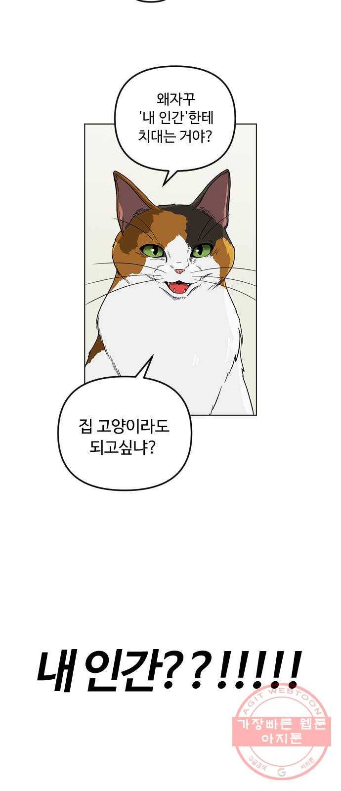 단편.zip 48화 고양이는 다시 돌아온다 - 김호랑 작가 66