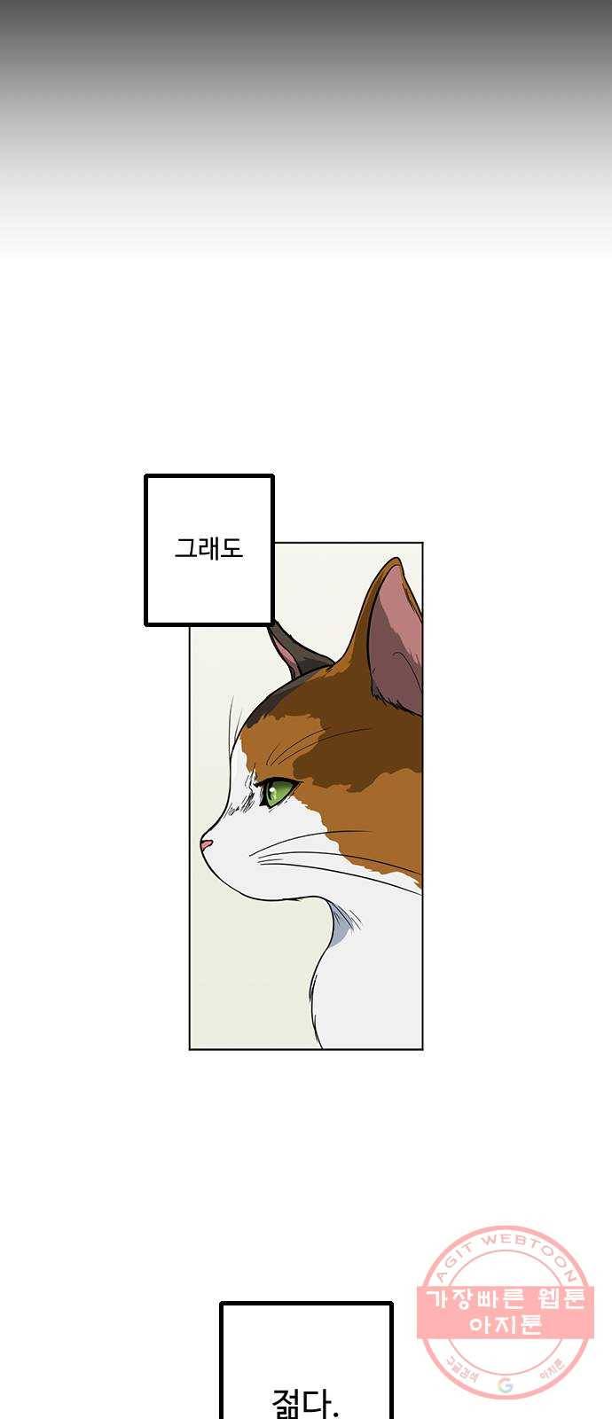 단편.zip 48화 고양이는 다시 돌아온다 - 김호랑 작가 72