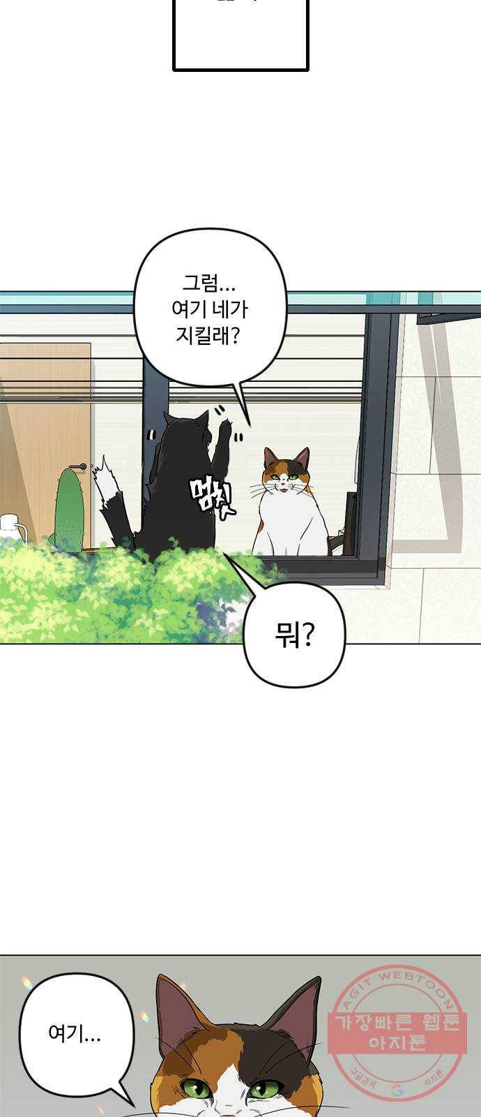 단편.zip 48화 고양이는 다시 돌아온다 - 김호랑 작가 73