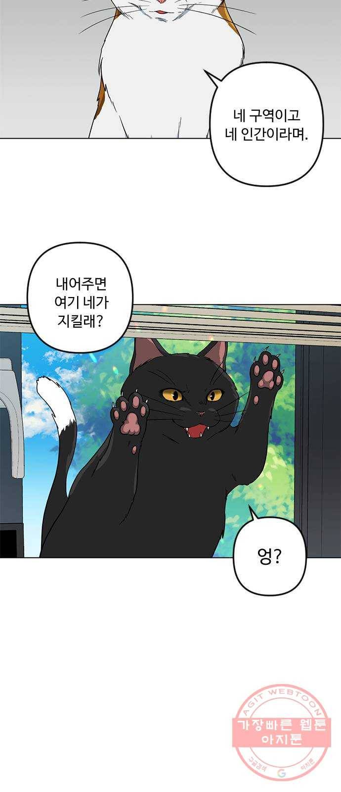 단편.zip 48화 고양이는 다시 돌아온다 - 김호랑 작가 74