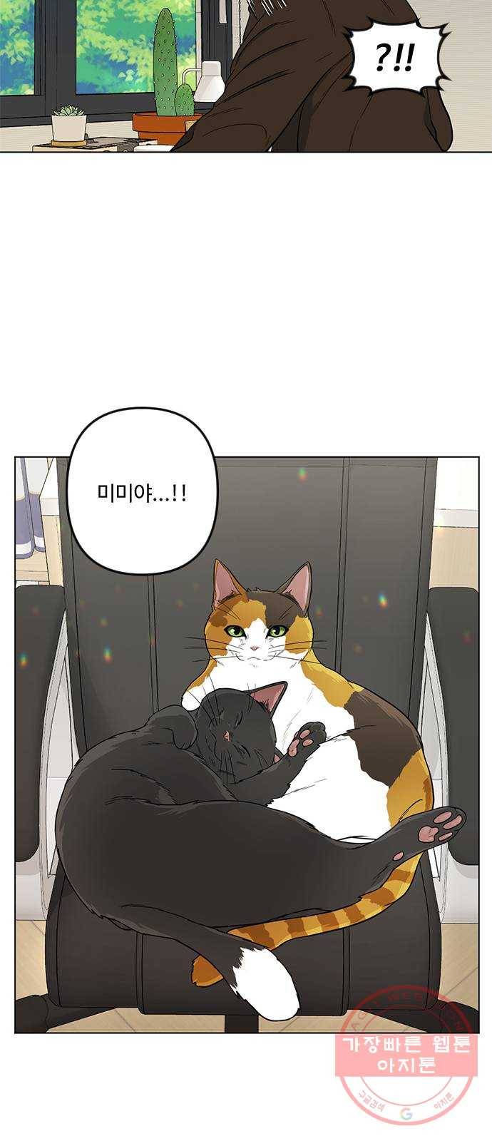 단편.zip 48화 고양이는 다시 돌아온다 - 김호랑 작가 80