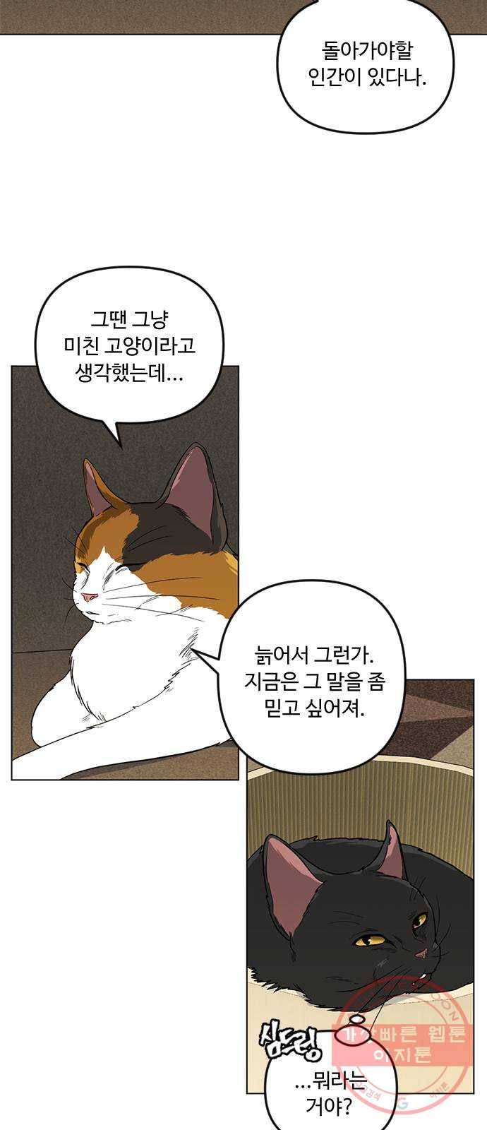 단편.zip 48화 고양이는 다시 돌아온다 - 김호랑 작가 84