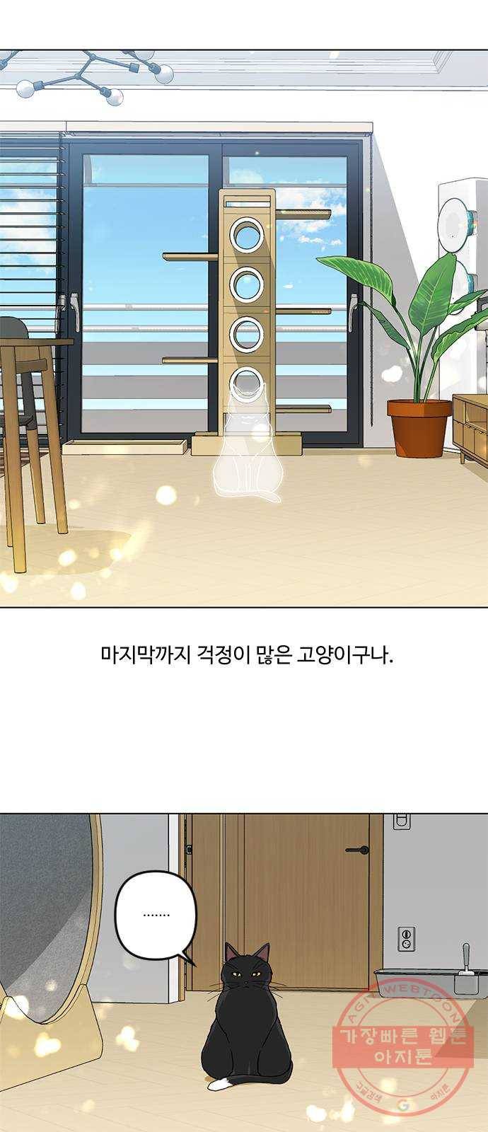 단편.zip 48화 고양이는 다시 돌아온다 - 김호랑 작가 89