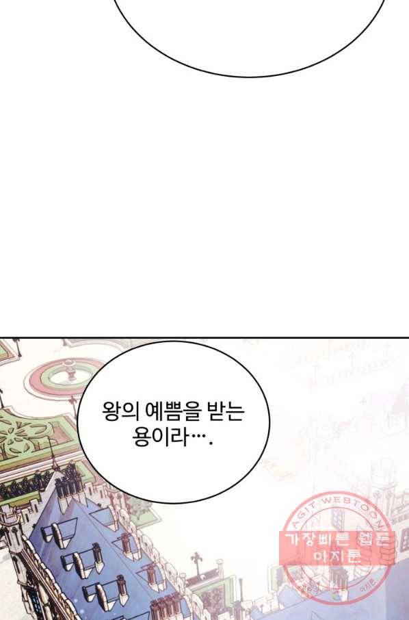 베이비 드래곤 2화 19
