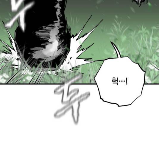 라서드 41화 115