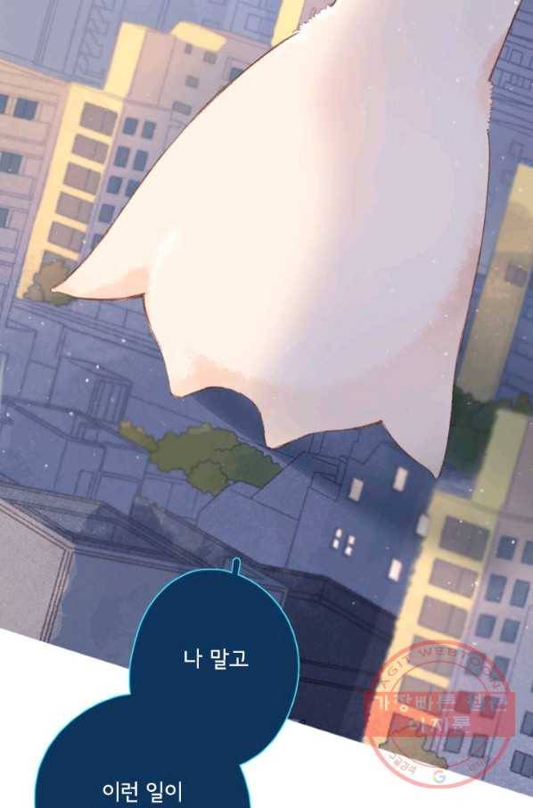돌로의 운명캡슐 83화 13