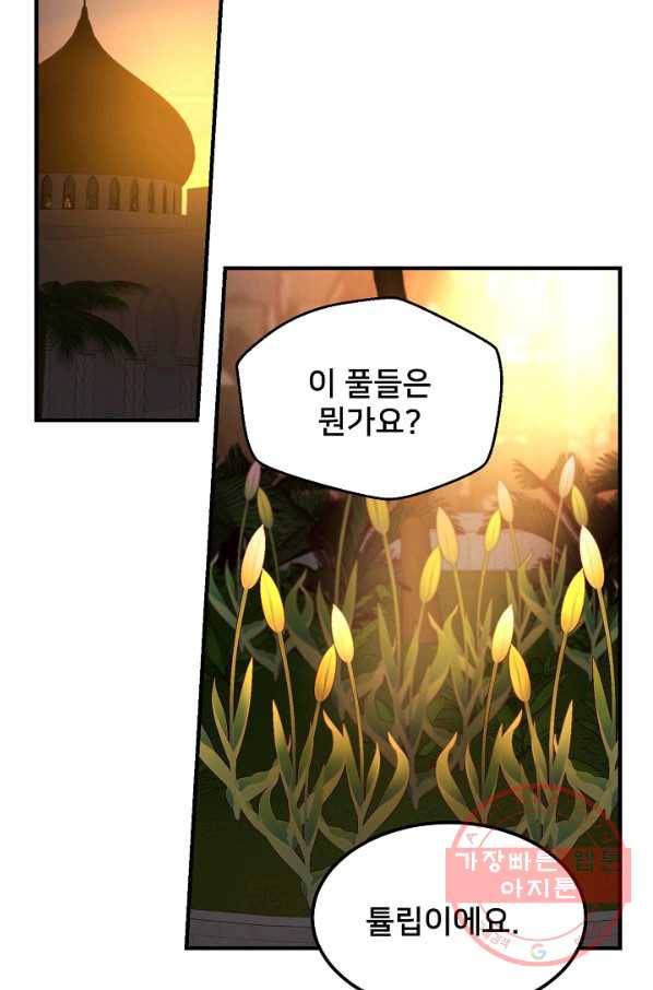 램프의 아미나 98화 58