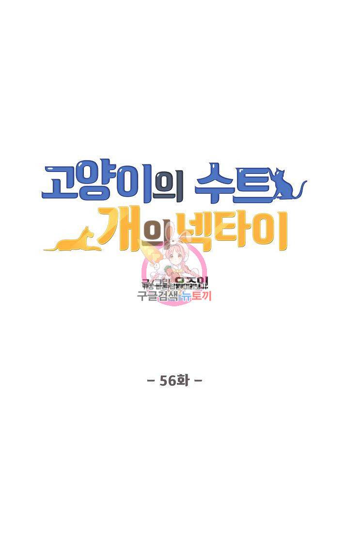 고양이의 수트 개의 넥타이 56화 1