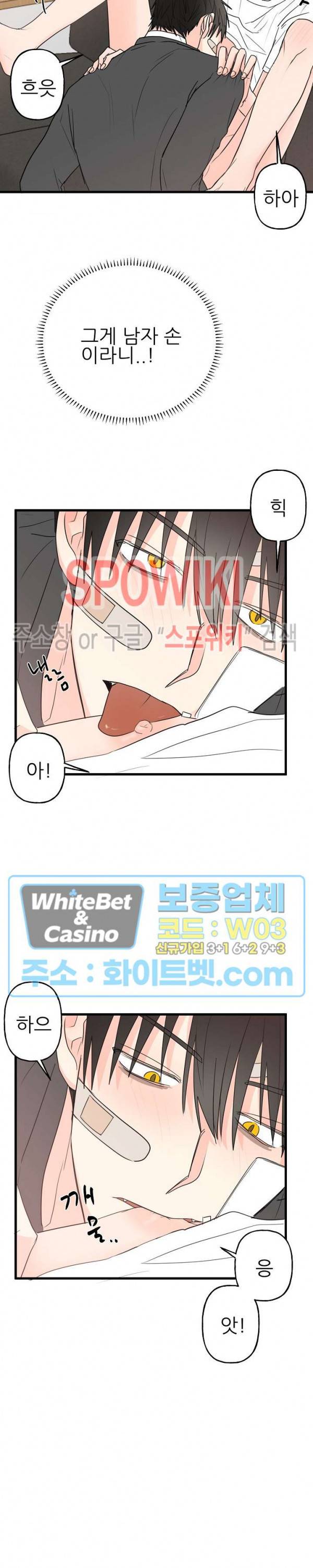 행운은 고양이로부터 4화 3