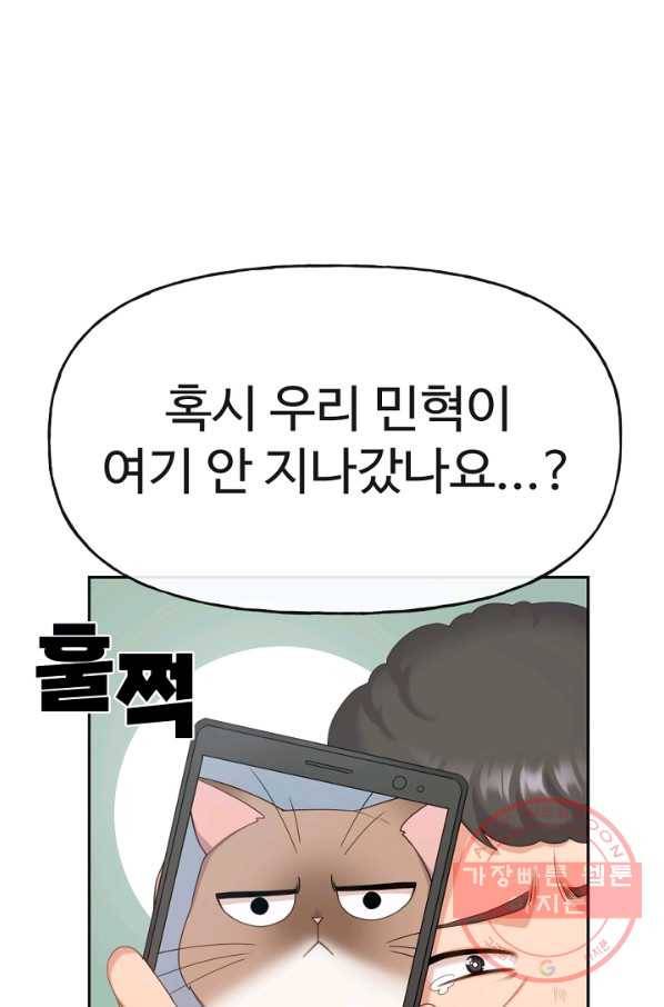 우리집 고양이는 베지테리언 사라진 고양이 6