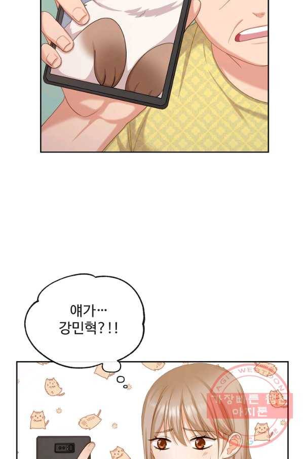 우리집 고양이는 베지테리언 사라진 고양이 7