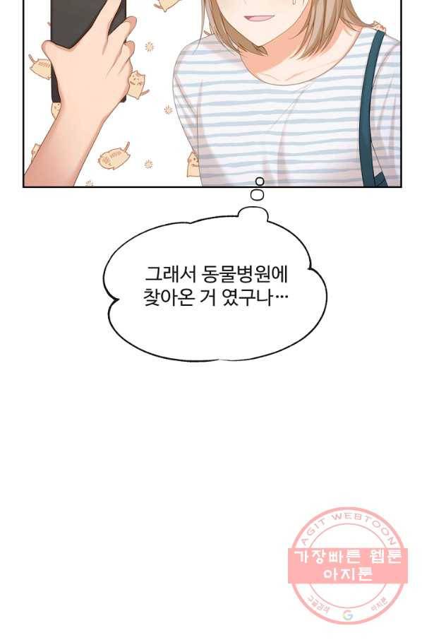 우리집 고양이는 베지테리언 사라진 고양이 8