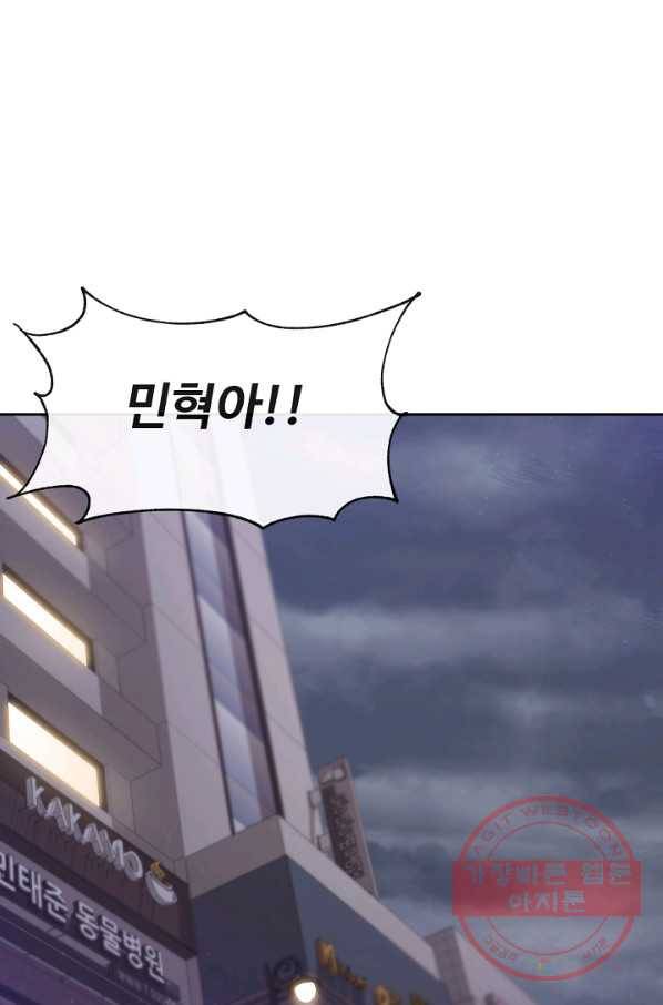 우리집 고양이는 베지테리언 사라진 고양이 13