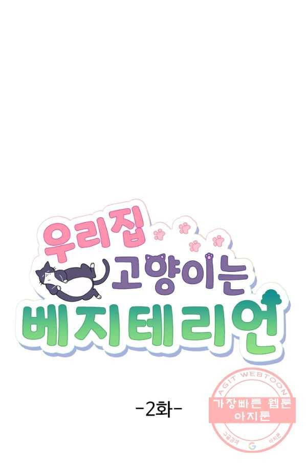 우리집 고양이는 베지테리언 사라진 고양이 15