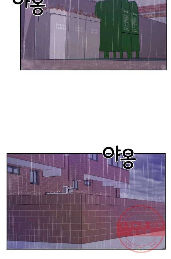우리집 고양이는 베지테리언 사라진 고양이 23