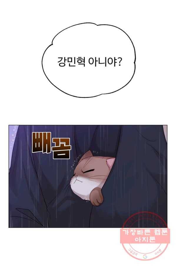 우리집 고양이는 베지테리언 사라진 고양이 28