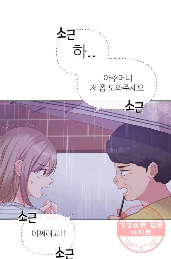 우리집 고양이는 베지테리언 사라진 고양이 31