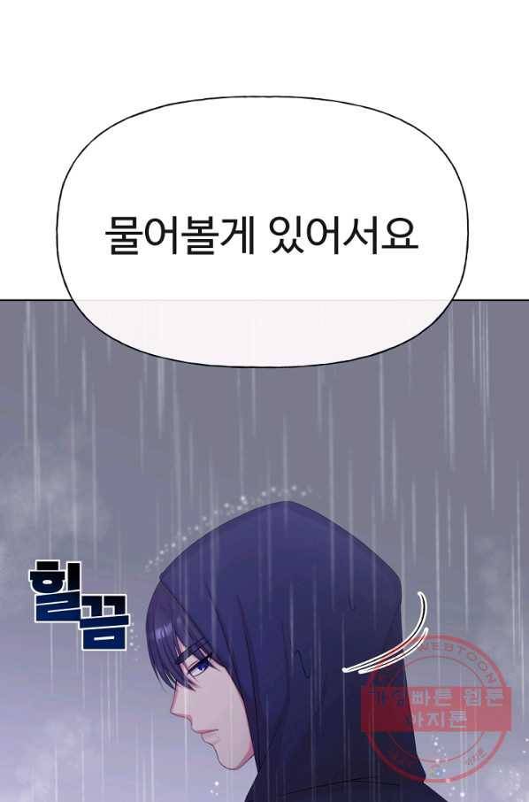 우리집 고양이는 베지테리언 사라진 고양이 39