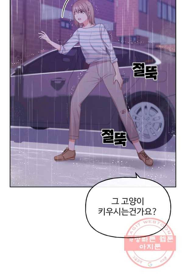 우리집 고양이는 베지테리언 사라진 고양이 41