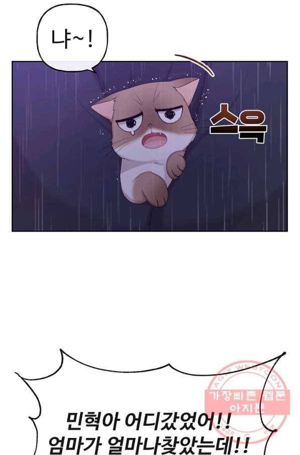 우리집 고양이는 베지테리언 사라진 고양이 42