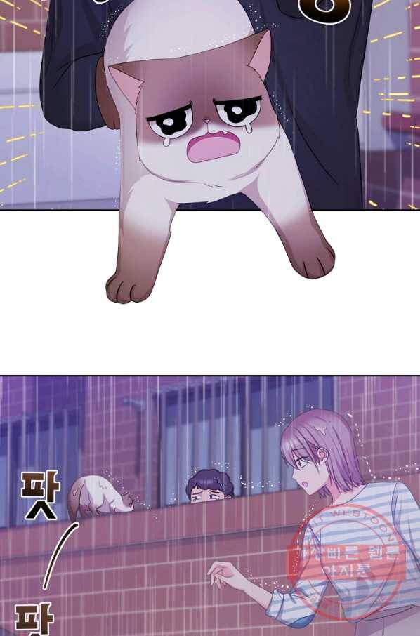 우리집 고양이는 베지테리언 사라진 고양이 45