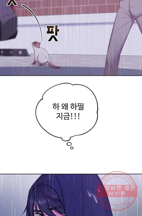 우리집 고양이는 베지테리언 사라진 고양이 46
