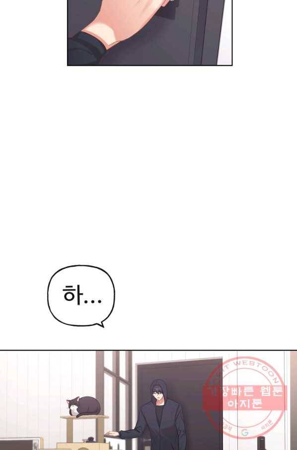 우리집 고양이는 베지테리언 사라진 고양이 54
