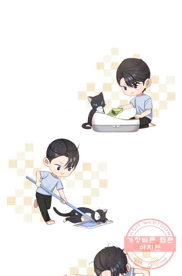 우리집 고양이는 베지테리언 사라진 고양이 59