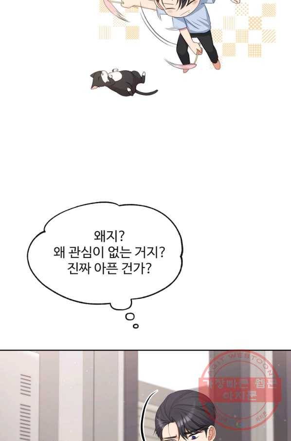 우리집 고양이는 베지테리언 사라진 고양이 60