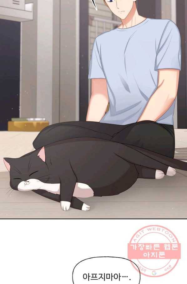 우리집 고양이는 베지테리언 사라진 고양이 61