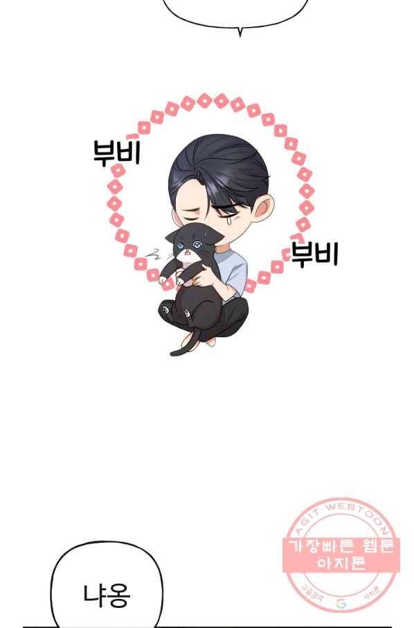 우리집 고양이는 베지테리언 사라진 고양이 62