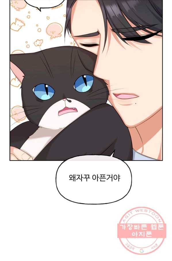 우리집 고양이는 베지테리언 사라진 고양이 63