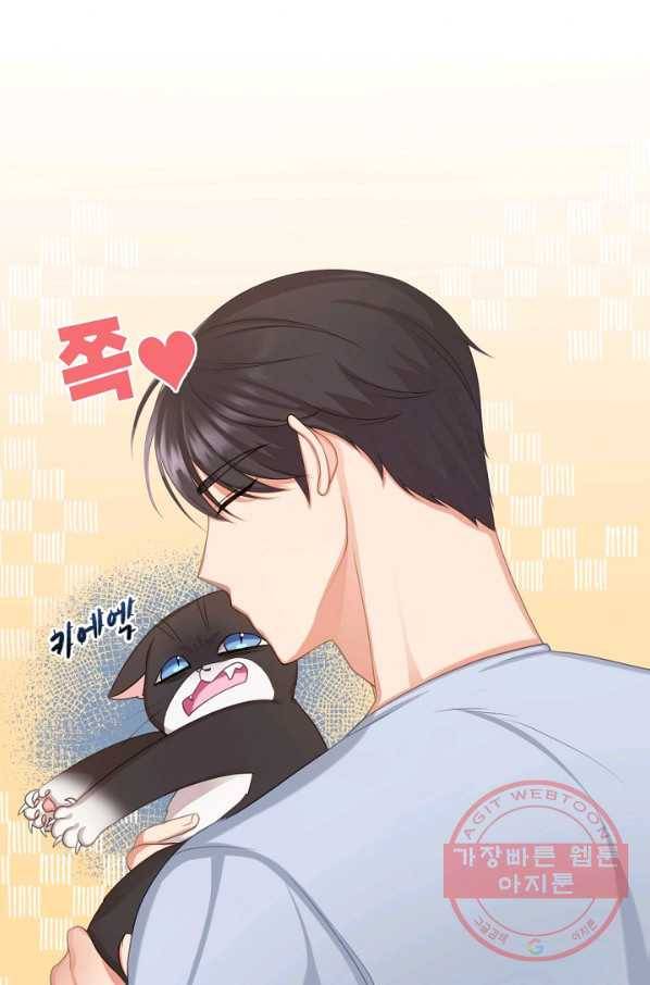우리집 고양이는 베지테리언 사라진 고양이 64