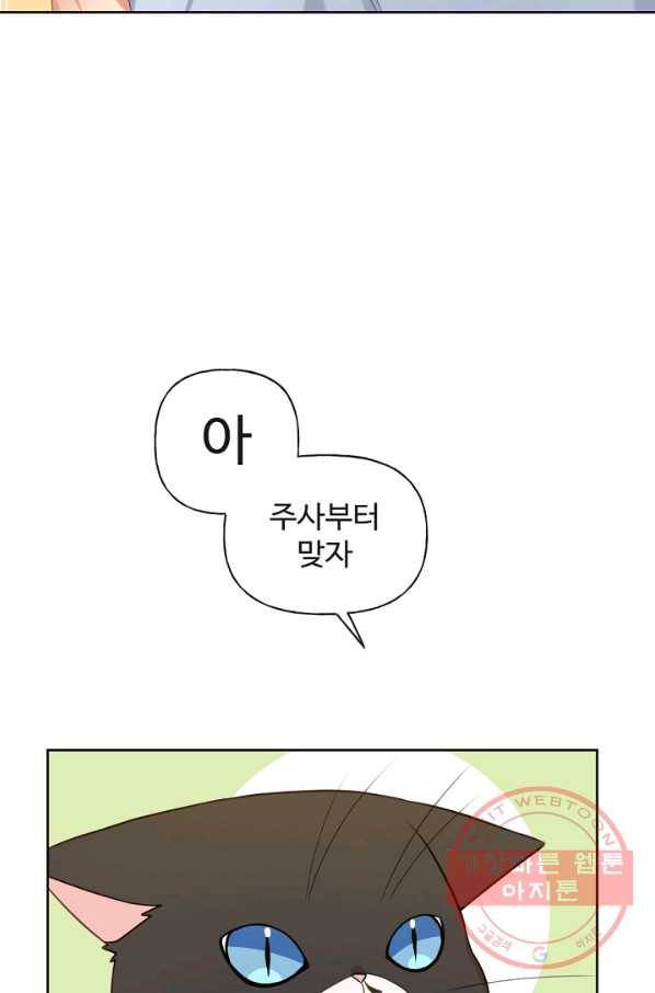우리집 고양이는 베지테리언 사라진 고양이 65