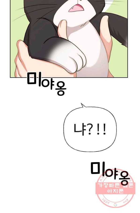 우리집 고양이는 베지테리언 사라진 고양이 66