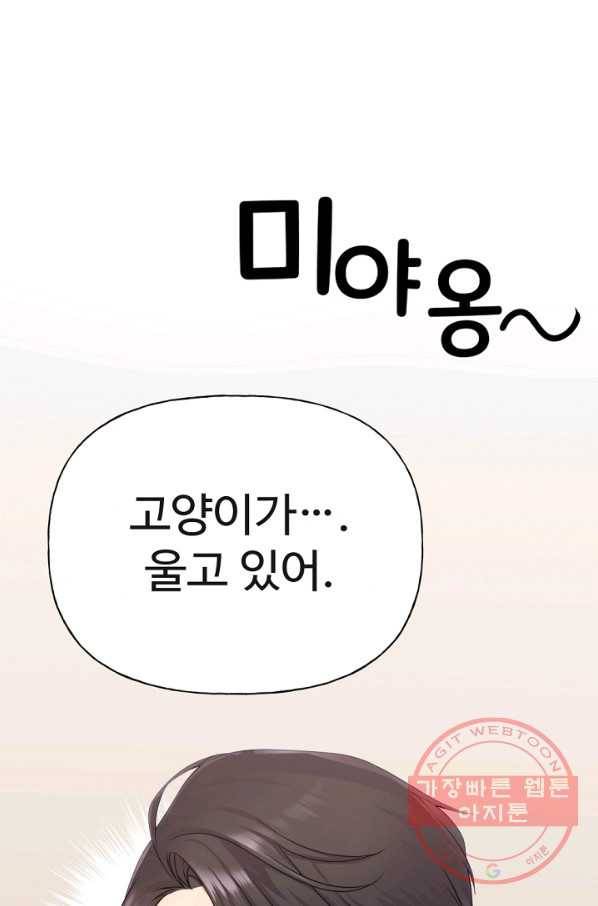 우리집 고양이는 베지테리언 사라진 고양이 68