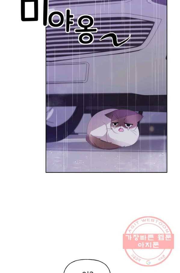 우리집 고양이는 베지테리언 사라진 고양이 73