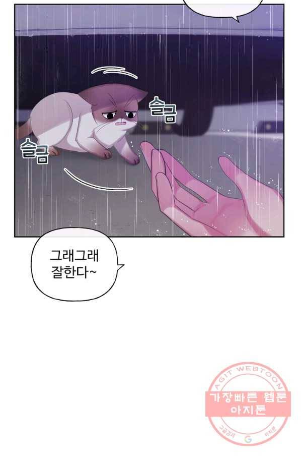 우리집 고양이는 베지테리언 사라진 고양이 75