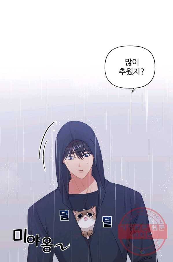 우리집 고양이는 베지테리언 사라진 고양이 76