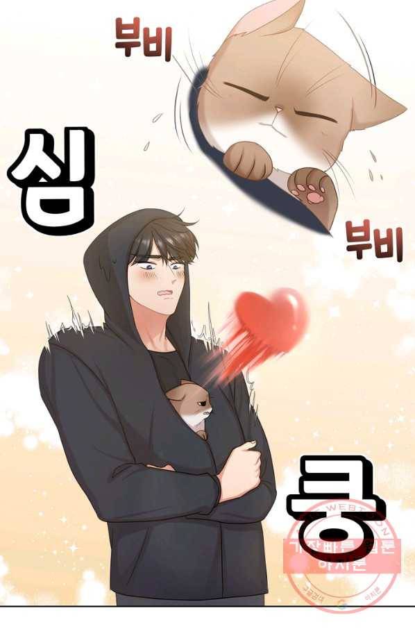 우리집 고양이는 베지테리언 사라진 고양이 78
