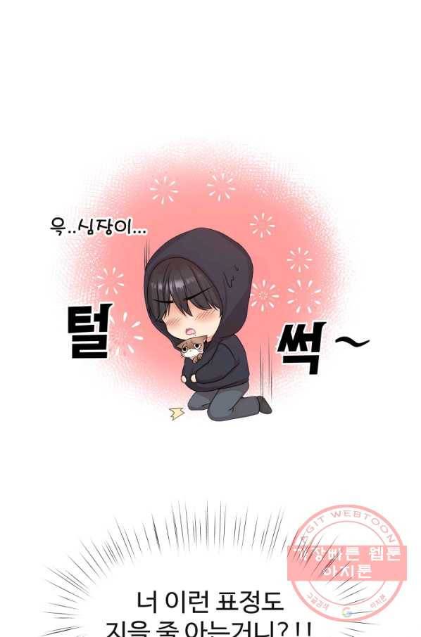 우리집 고양이는 베지테리언 사라진 고양이 79