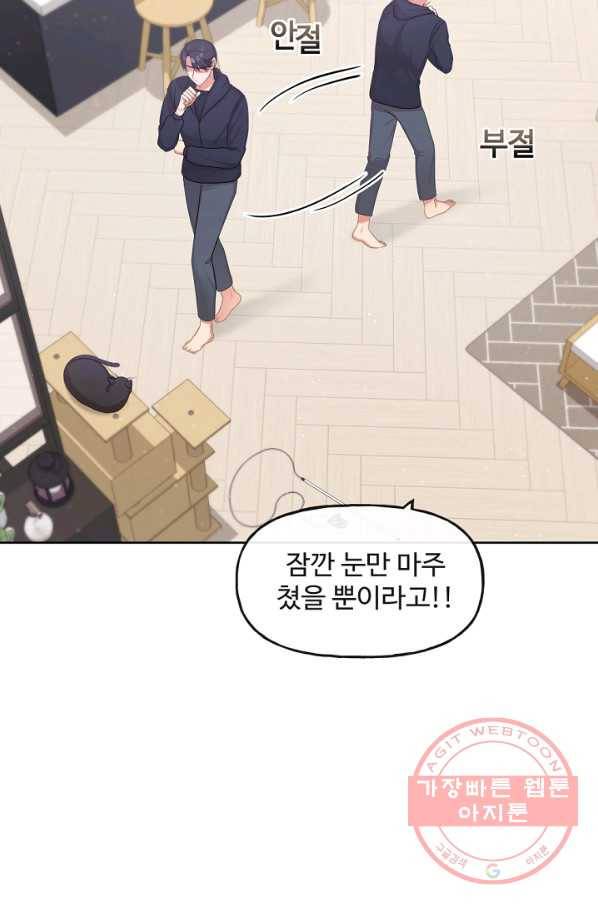 우리집 고양이는 베지테리언 사라진 고양이 87